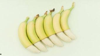 巴蕉瓜怎么吃,探索美味与营养的完美结合