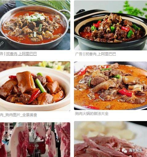吃狗肉能吃水瓜不,探寻传统美食的和谐共生
