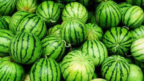 瓜老师吃瓜,揭秘娱乐圈那些不为人知的幕后故事