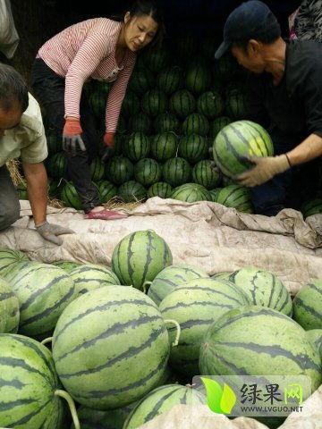 学校近期热门吃瓜事件,揭秘近期热门吃瓜事件背后的真相