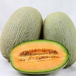 吃超大哈密瓜,揭秘超大哈密瓜的奇幻之旅