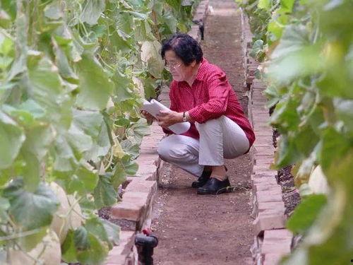 徐徐吃瓜人物介绍,揭秘网络红人的魅力与争议