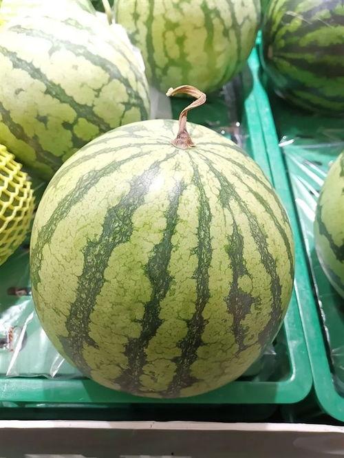 吃大瓜的瓜,吃大瓜背后的真相与内幕