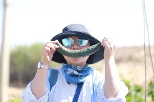 跟着吃瓜唠了,揭秘娱乐圈幕后故事