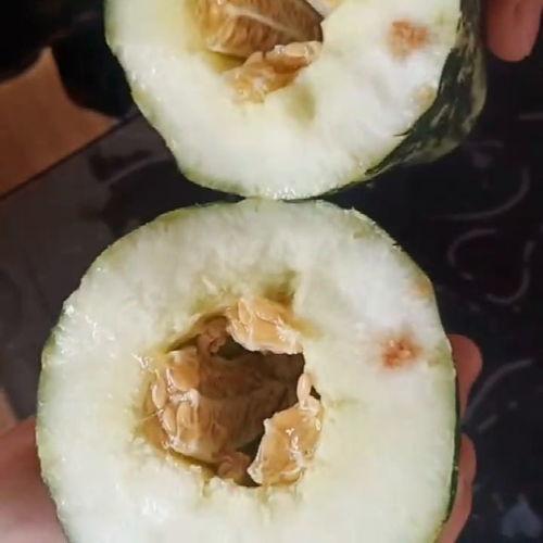 给朋友讲吃瓜,与朋友共享的夏日消暑秘籍