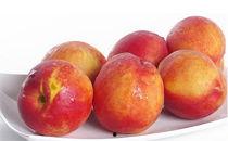 瓜和油桃能一起吃吗,瓜与油桃同食的注意事项及搭配建议