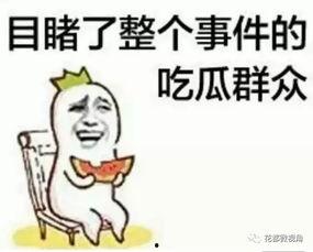 涵仔吃瓜群众,揭秘娱乐圈幕后故事