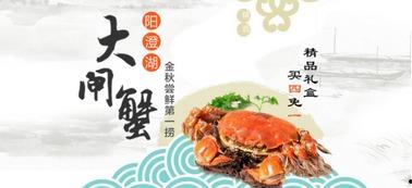 脱离吃瓜 小说,揭秘脱离吃瓜背后的故事与情感纠葛