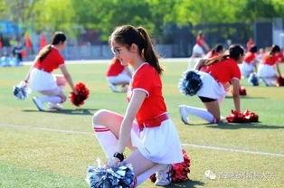 吃瓜学校事件,揭秘校园网络暴力的阴影面