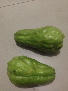 炒着吃特别甜的瓜是什么瓜,揭秘炒着吃特别甜的瓜种之谜